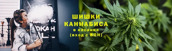 прущий лед Ельня