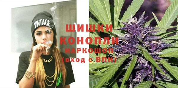 хмурый Елизово