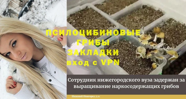 а пвп мука Елабуга