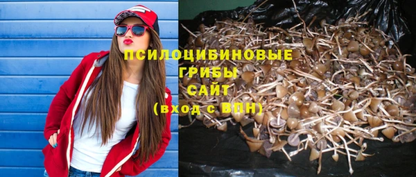 а пвп мука Елабуга