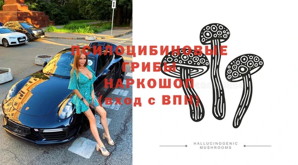 прущий лед Ельня