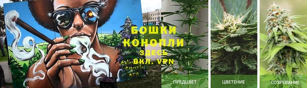 хмурый Елизово