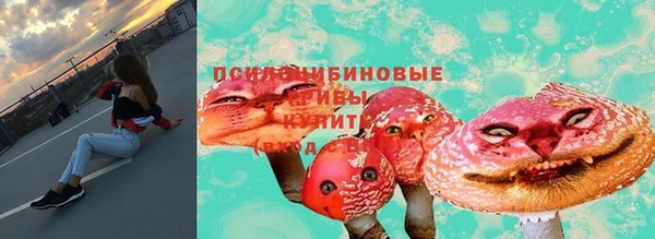 хмурый Елизово