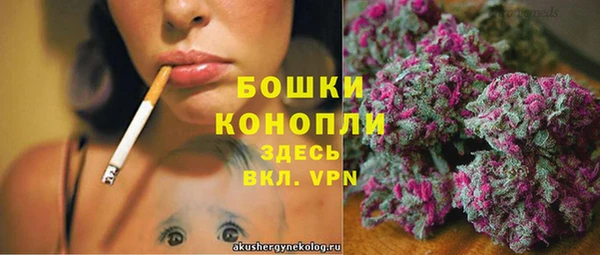 прущий лед Ельня