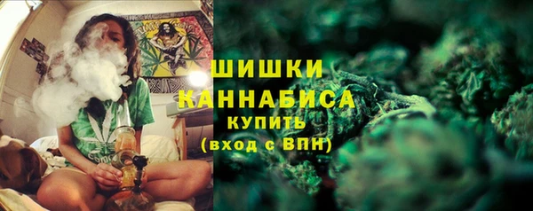 прущий лед Ельня