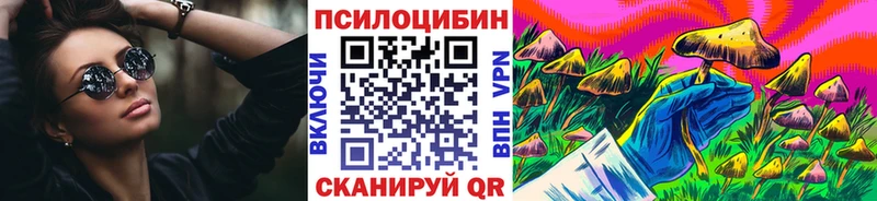 Купить  Зима  Псилоцибиновые грибы Psilocybine cubensis 