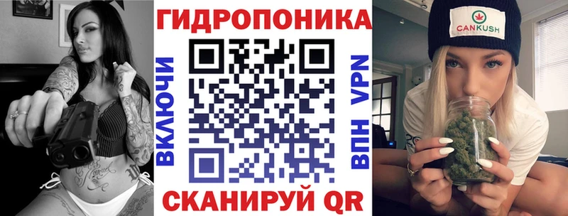 Купить  Зима  Канабис конопля 